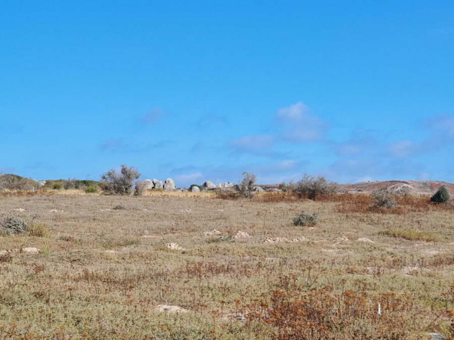 0 Bedroom Property for Sale in Langebaan Country Estate Western Cape